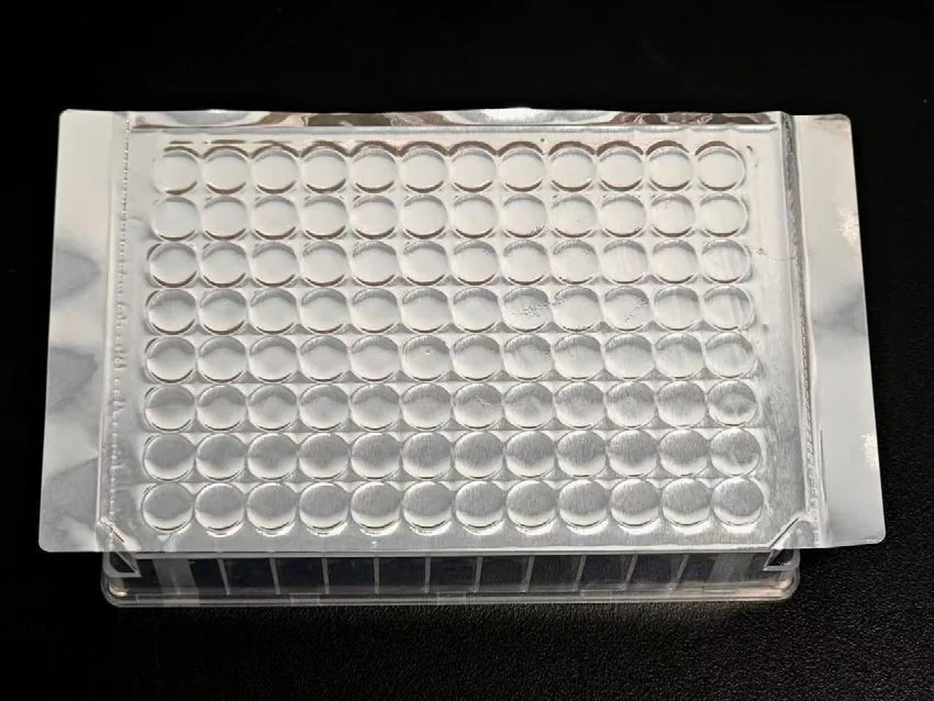 高粘透明压敏膜（一）